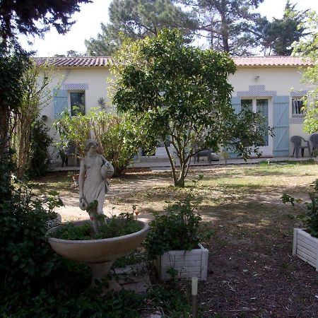 Bed and Breakfast mas des pins à Saint-Cyprien  Extérieur photo