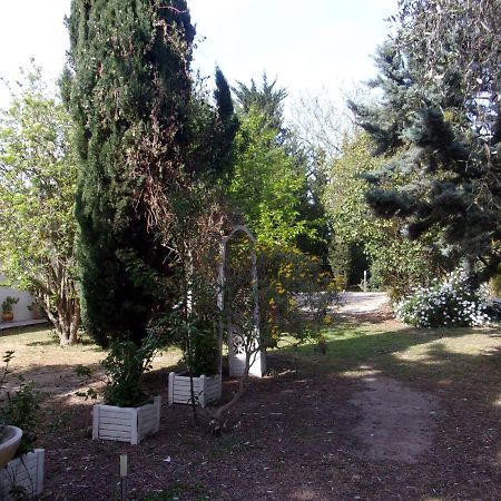 Bed and Breakfast mas des pins à Saint-Cyprien  Extérieur photo