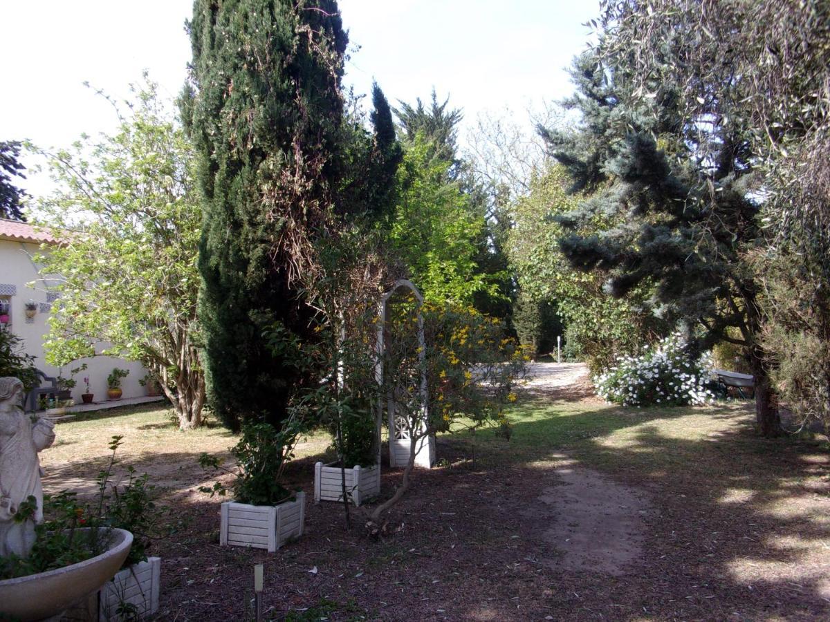 Bed and Breakfast mas des pins à Saint-Cyprien  Extérieur photo